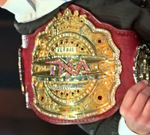 Versão do título sob o nome de "Campeonato Global da TNA".