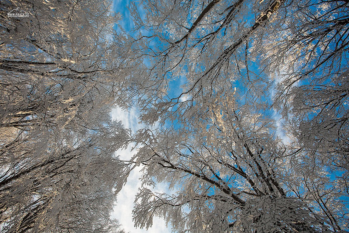 Tbilisi National Park.jpg