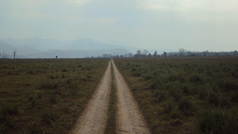 File:The Endless Road.jpg