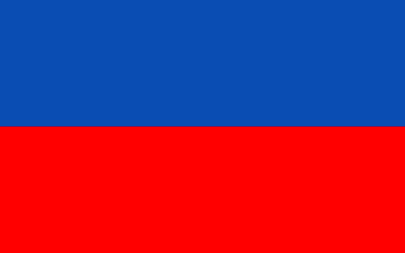 File:The flag of Serbian House Svevladovic.png