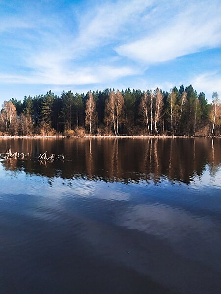 File:The magical forest.jpg