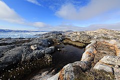 Photographie en couleurs de roches affleurantes aux formes arrondies et entourant une petite étendue d'eau, un fjord se déployant en arrière-plan.