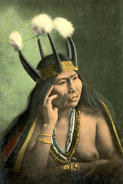 File:Tlingit woman called Mrs Stene-Tu, Alaska, between 1900 and 1909 (AL+CA 6701) (cropped).jpg