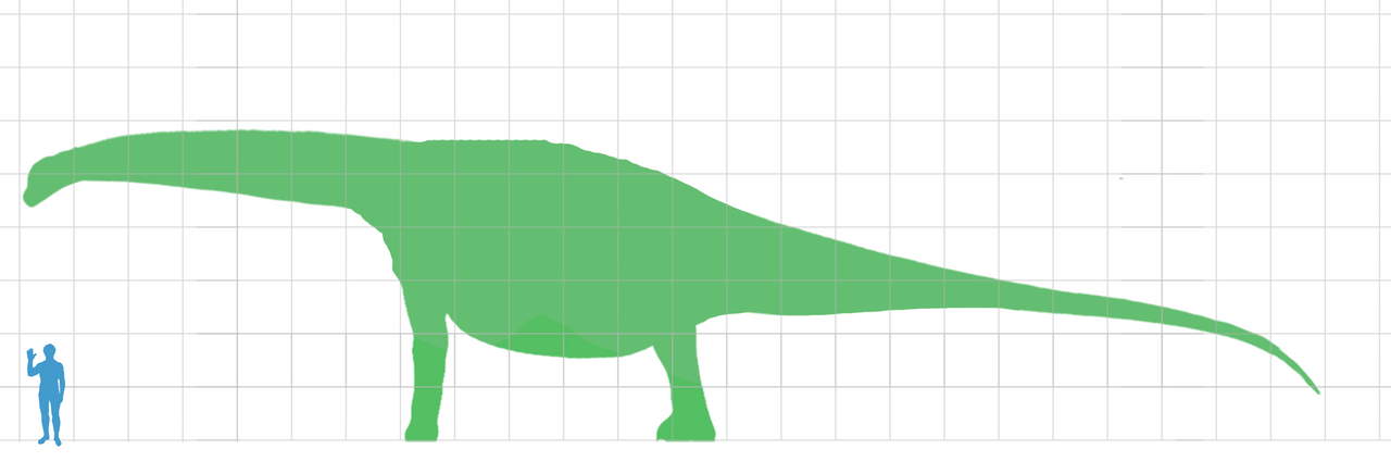 File Turiasaurus Scale Png Wikimedia Commons