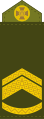 Старший прапорщик, Вооружённые силы Украины (2016)