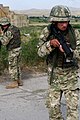 Georgian soldiers with Bushmaster M4 search for mock roadside bombs during convoy operations training here July 20. Marines are training with the Georgian Armed Forces for Exercise Agile Spirit 2011