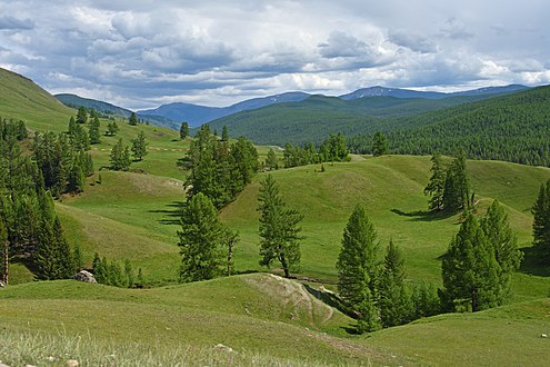 Лнадшафт за Пазырыкскими курганами