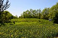 Vaidatoniai hillfort