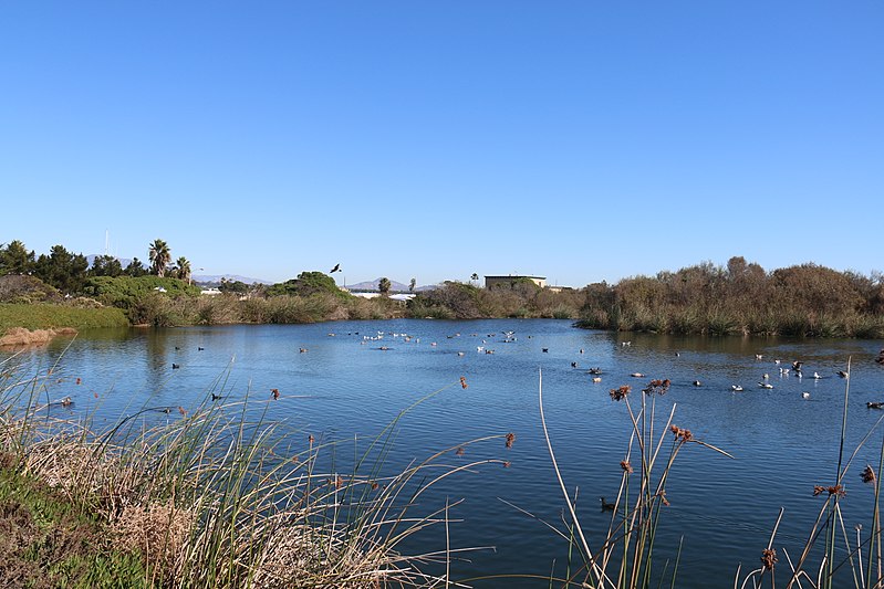 File:Ventura Harbor Wetlands Ecological Reserve (foreground) and Ventura Water Reclamation Facility (background) (23101736066).jpg