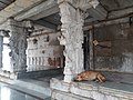 Venugopalaswamy Temple in Devanahalli 15.jpg