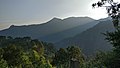 View near Catherine Falls, Kotagiri (7).jpg