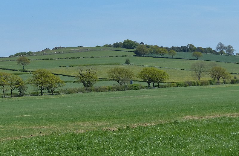 File:View towards Broombriggs Hill - geograph.org.uk - 3513629.jpg