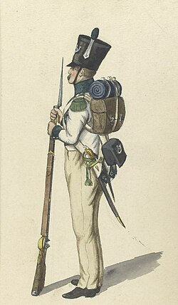 Image illustrative de l’article 5e régiment d'infanterie de ligne (Royaume de Hollande)