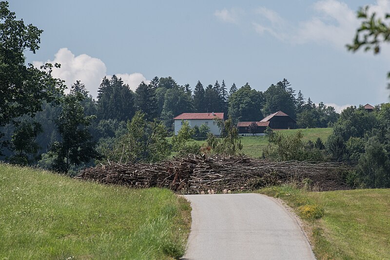 File:WTB 20220724 Ulrichsberg Blick nach Oberthiergrub 8083.jpg