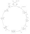 Vorschaubild der Version vom 23:25, 1. Jan. 2010