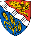 Wappen Ringgau.svg