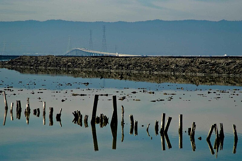 File:Water view at Don Edwards San Francisco bay.jpg