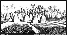 The Wichita were an agrarian Southern Plains tribe, who historically lived in beehive-shaped houses thatched with grass surrounded by extensive maize fields. They were skilled farmers who traded agricultural products with the nomadic tribes in exchange for meat and hides. Wichita Indian village 1850-1875.jpg