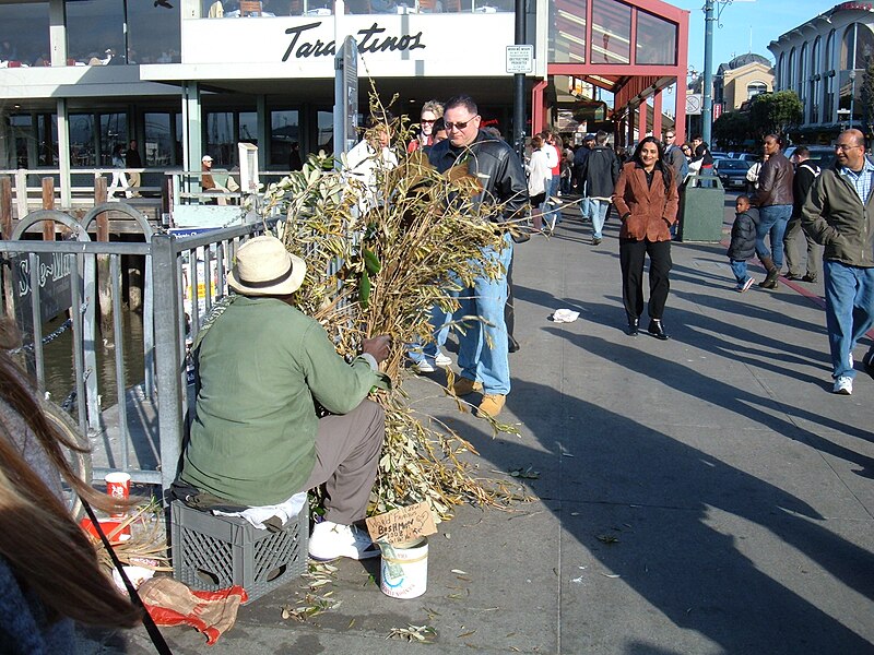 File:World Famous Bushman scare 2.JPG