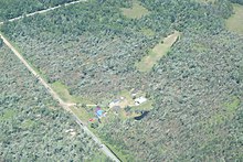 Trees flattened by a low-end EF2 tornado near Silver Cliff, Wisconsin. Wyeville EF2 tree damage 2022.jpg