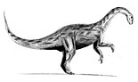 The Oedhof jaw can belong to a creature similar to Yunnanosaurus Yunnanosaurus BW.jpg