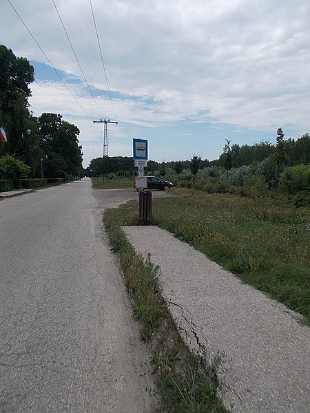 File:'Szigethalom, Dunasor u. (játszótér)' bus stop, 2019 Szigethalom.jpg