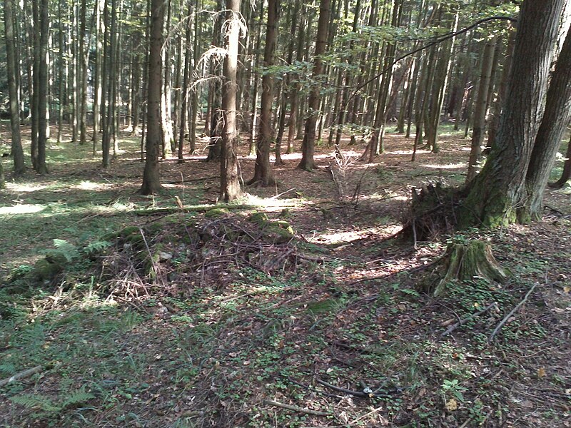 File:Čížovské lesy, hromada kamení.jpg