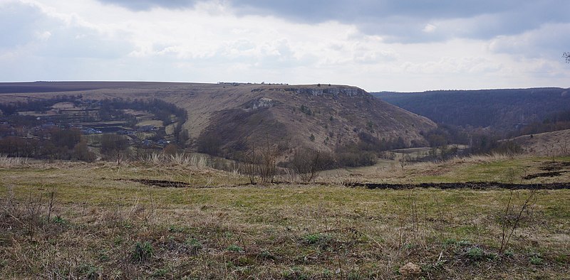 File:Городище двошарове, село Кривчик.jpg