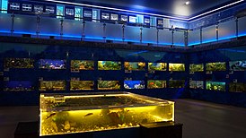 Дом-аквариум в Челябинске