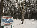Зима. Тальнівський парк. 31.jpg
