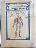 Миниатюра для Файл:Книга по анатомии Ю. Вагнера на лакском.jpg