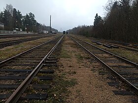 Пути станции. Вид в сторону ст. Прибылово.