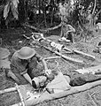 013880 Wounded Japanese treated after final attack Gona.jpg