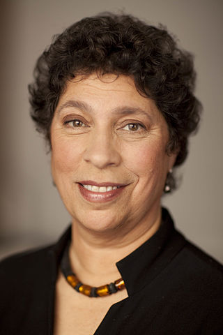 <span class="mw-page-title-main">Susan N. Herman</span> American constitutional law scholar