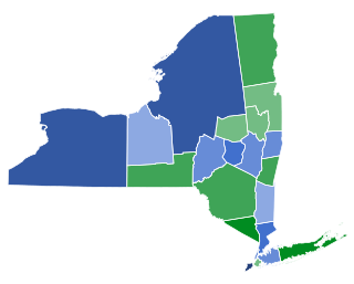 <span class="mw-page-title-main">1795 New York gubernatorial election</span>