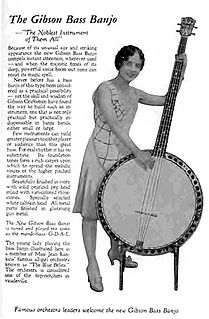 Bass banjo