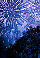 Blue fireworks at the Finnish fireworks championship 2007