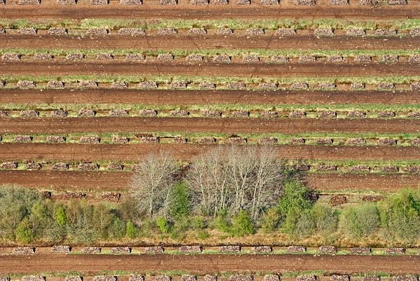 Peat stacks in Südmoslesfehn (district of Oldenburg, Germany) in 2013