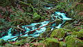 * Nomination Savoureuse river, in Lepuix, France. --ComputerHotline 19:35, 31 October 2013 (UTC) * Decline  Oppose Strong oversaturation, sorry--Lmbuga 20:40, 31 October 2013 (UTC)