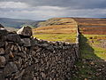 * Nomination View from the eastern summit of Fremington Edge to the north-west into Arkengarthdale --Kreuzschnabel 14:30, 21 October 2014 (UTC) * Promotion Good quality. --Poco a poco 19:13, 21 October 2014 (UTC)