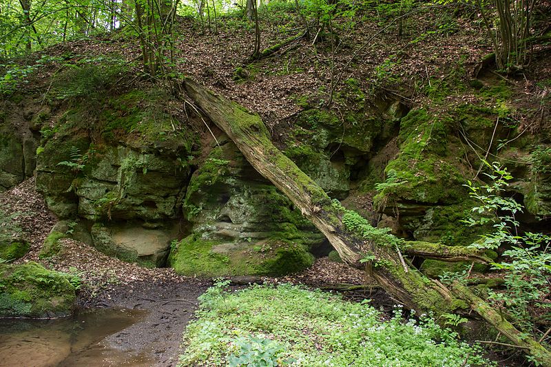 File:2016 Röthenbachklamm 11.jpg