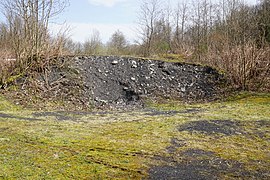 En svart slagghaug som stikker ut fra vegetasjonen.