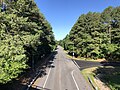 File:2022-06-29 08 03 37 View south along Maryland State Route 290 (Galena-Sassafras Road) from the overpass for U.S. Route 301 (Blue Star Memorial Highway) in Sassafras, Kent County, Maryland.jpg