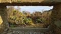 83230 Bormes-les-Mimosas, France - panoramio (180).jpg