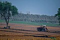 File:A Farmer Cultivating In Punjab.jpg