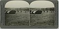 A field of forty tanks -- "like a flock of sheep browsing" -- Bethune.jpg