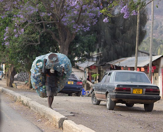 plastic bottle recycling (photo)