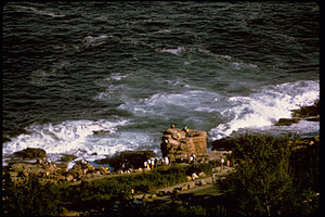 Acadia National Park ACAD0867.jpg