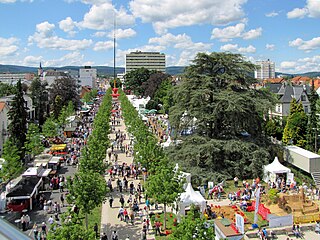 <span class="mw-page-title-main">Hessentag</span> Annual fair and festival in Germany