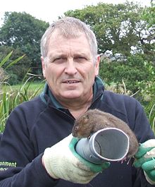 Alastair Driver with water vole - Bude, Cornwall Alastair Driver with Water Vole - Bude, Cornwall.jpg